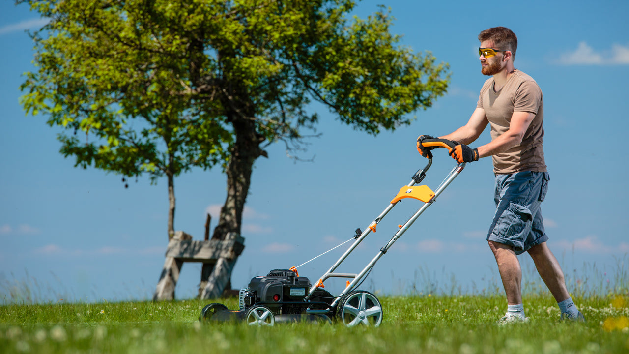 How to choose a lawn mower?